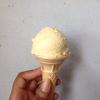 Homemade vanilla ice-cream