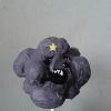 My Grape Flavoured Adventure Time Lumpy Space Princess Cake Pop