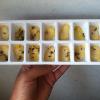 My Homemade Lavender & Lemon Peel Ice Cubes