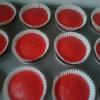 My Red Nose Day cupcakes (Vanilla cupcakes topped with glace cherry icing)