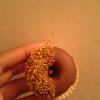 My Banana Donut with Milk Chocolate & Yellow Sprinkles