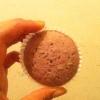 Lavender cupcake