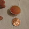 The Bitesize Project:Cupcake