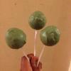Avocado style cake pops(vanilla cake with a chocolate interior, and covered in white chocolate(the smoother ones) or icing).